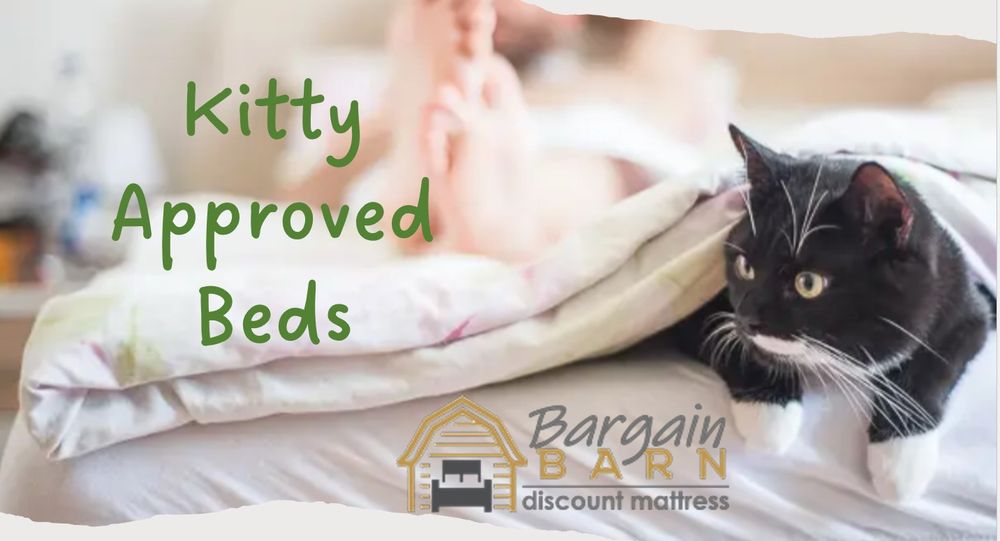 BARGAIN BARN DISCOUNT MATTRESSES Updated October 2024 71 Photos