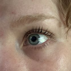 Curly Willow Spa - Eyelash lift and tint
