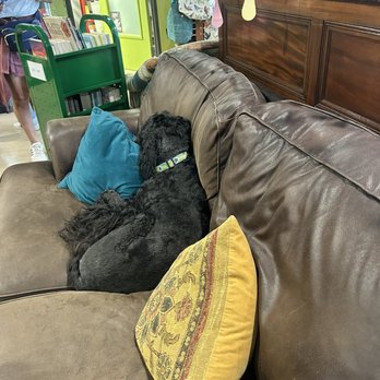 Monkey & Dog Books - Bookstores Near Me - Fort Worth, Texas Monkey & Dog Books - Bookstores Near Me - Fort Worth, Texas