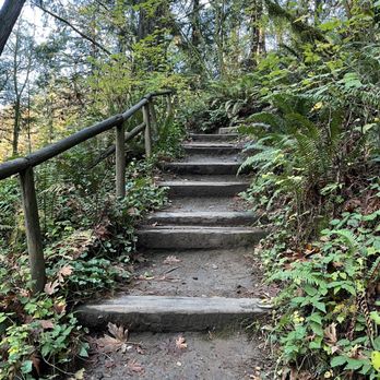 Squaxin Park - Parks Near Me - Olympia, Washington