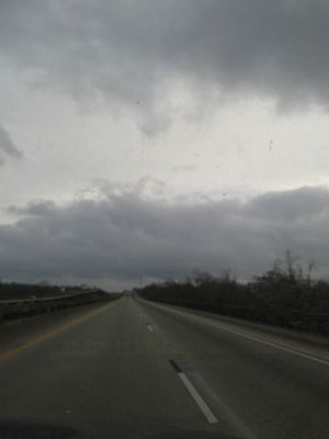 Atchafalaya Welcome Center by null