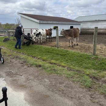Wolcott Mill Interpretive Learning Center - Attraction Farms Near Me - Ray, Michigan