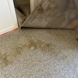 Descansa Property Management - More pet urine