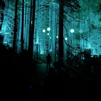 Vallea Lumina - Walking Tours Near Me - Whistler, British Columbia Vallea Lumina - Walking Tours Near Me - Whistler, British Columbia