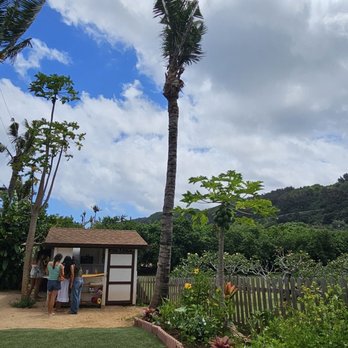 Lucky's - Coffee & Tea Near Me - Haleiwa, Hawaii Lucky's - Coffee & Tea Near Me - Haleiwa, Hawaii