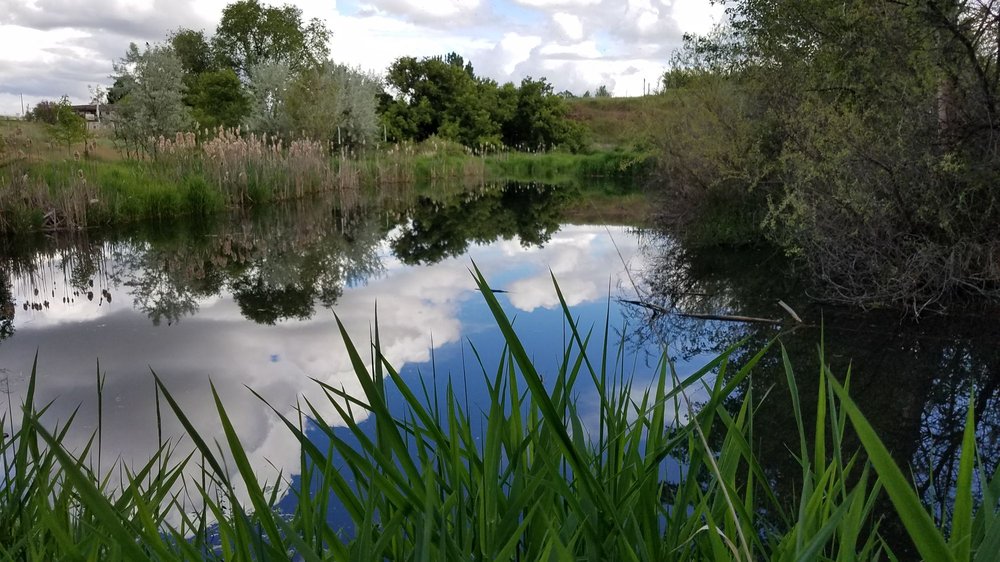 RIVERWIND FARM 16 Photos 7100 Rhine Ave, Meridian, Idaho Farms Yelp
