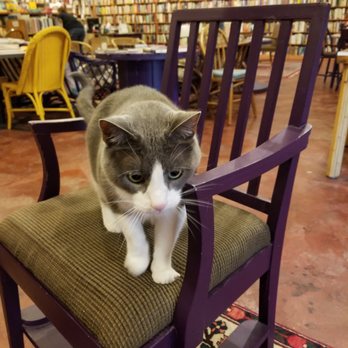 Loganberry Books - Otis - he's amazing - Bookstores Near Me - Shaker Heights, Ohio Loganberry Books - Otis - he's amazing - Bookstores Near Me - Shaker Heights, Ohio