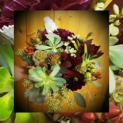 Country Greenery - Bridal Bouquet  Succulents, Leucadendron, and Seed Eucalyptus