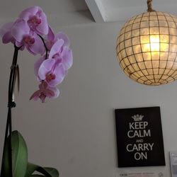 Polish Nail Spa - Pleasant atmosphere, even in the waiting area.