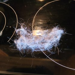 Yogi Bear's Jellystone Park - Lint from brush claiming to be pet hair (gross they put it on the stove)
