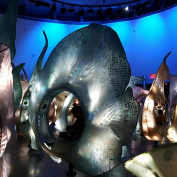 SeaGlass Carousel - Carousels Near Me - New York, New York