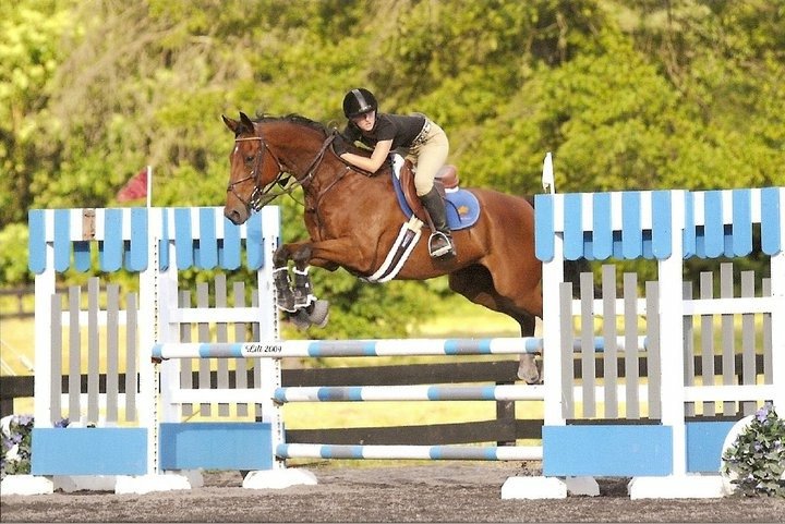 Highpoint Farm - equestrian in Rixeyville, VA