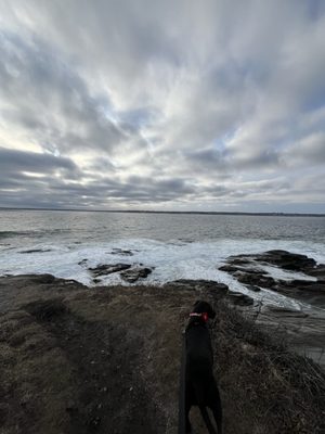 Beavertail State Park by null