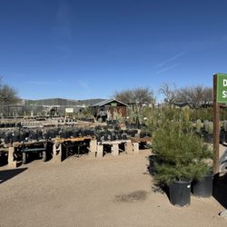 Green Things - Ready to get tomato plants and strawberries!!