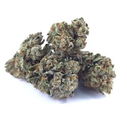 MMJ Canada