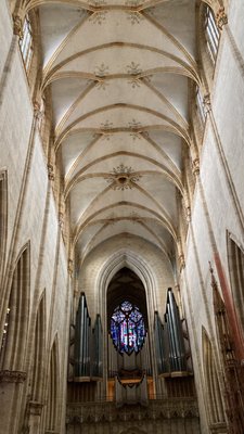 Ulm Minster by null