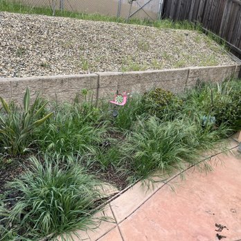Fresh Edge - Before - Lawn Services Near Me