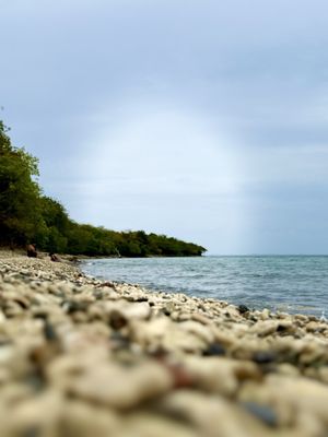 Tamarindo Beach by null