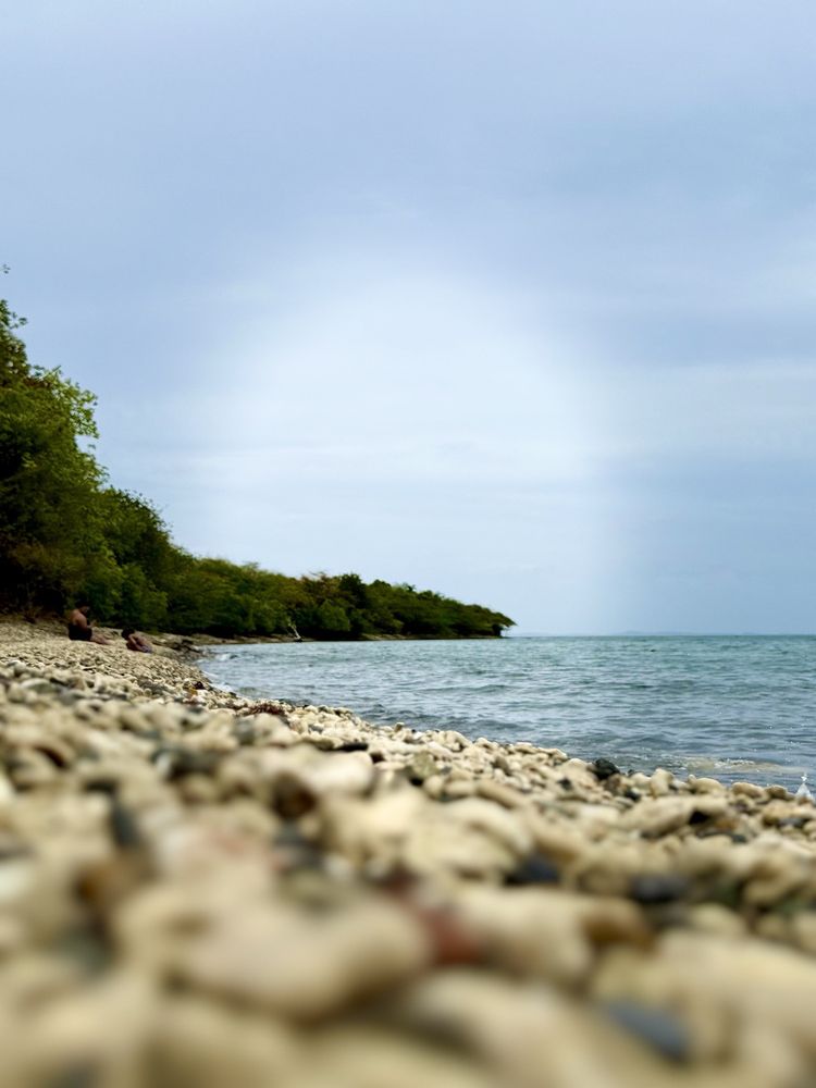 Tamarindo Beach Logo