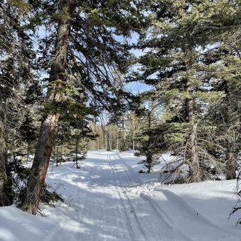Divide Road Nordic Ski Trail - Beautiful and groomed trails! - Hiking Near Me