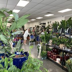 The Plant Kingdom - Inside