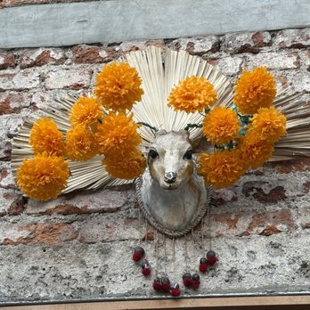 Páramo - fanciful art on display - Mexican Near Me - México, D.F., DIF Páramo - fanciful art on display - Mexican Near Me - México, D.F., DIF