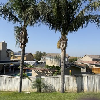 Alejandro's Tree Service - Tree Services Near Me Alejandro's Tree Service - Tree Services Near Me