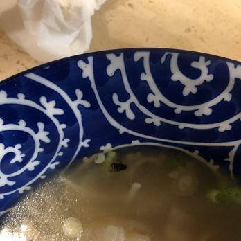 Pho Tien Thanh - Dead insect in pho broth - Vietnamese Near Me - Toronto, Ontario Pho Tien Thanh - Dead insect in pho broth - Vietnamese Near Me - Toronto, Ontario