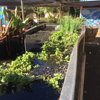 Hoa Aina O Makaha - Farms Near Me - Waianae, Hawaii