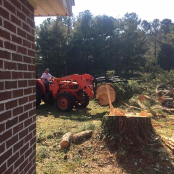 Belcher Tree Service - Tree Services Near Me