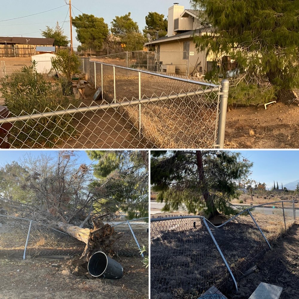 HENLEY CUSTOM FENCING with reviews Updated September 2024 34 Photos