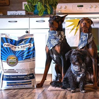 Nature's Select Pet Food - Nature's Select Delivery Day is the BEST day ever! - Pet Stores Near Me - Brea, California Nature's Select Pet Food - Nature's Select Delivery Day is the BEST day ever! - Pet Stores Near Me - Brea, California