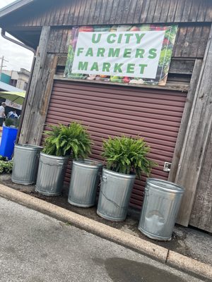 U City Farmers Market by null