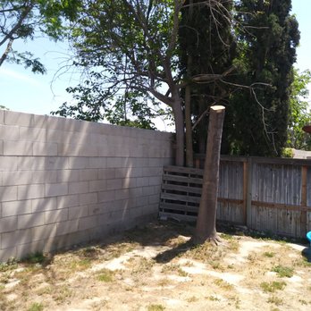 Castros Tree Services - Tall stump needed to be removed - Tree Services Near Me Castros Tree Services - Tall stump needed to be removed - Tree Services Near Me