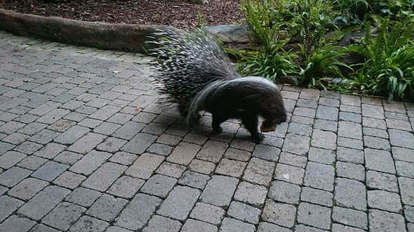 Bioparc Fuengirola by null