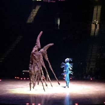 OVO: Cirque du Soleil - Performing Arts Near Me - Brooklyn, New York OVO: Cirque du Soleil - Performing Arts Near Me - Brooklyn, New York