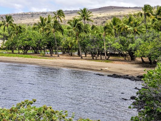 Puʻukoholā Heiau National Historic Site by null