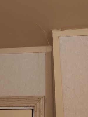 Denali Bluffs Hotel by null