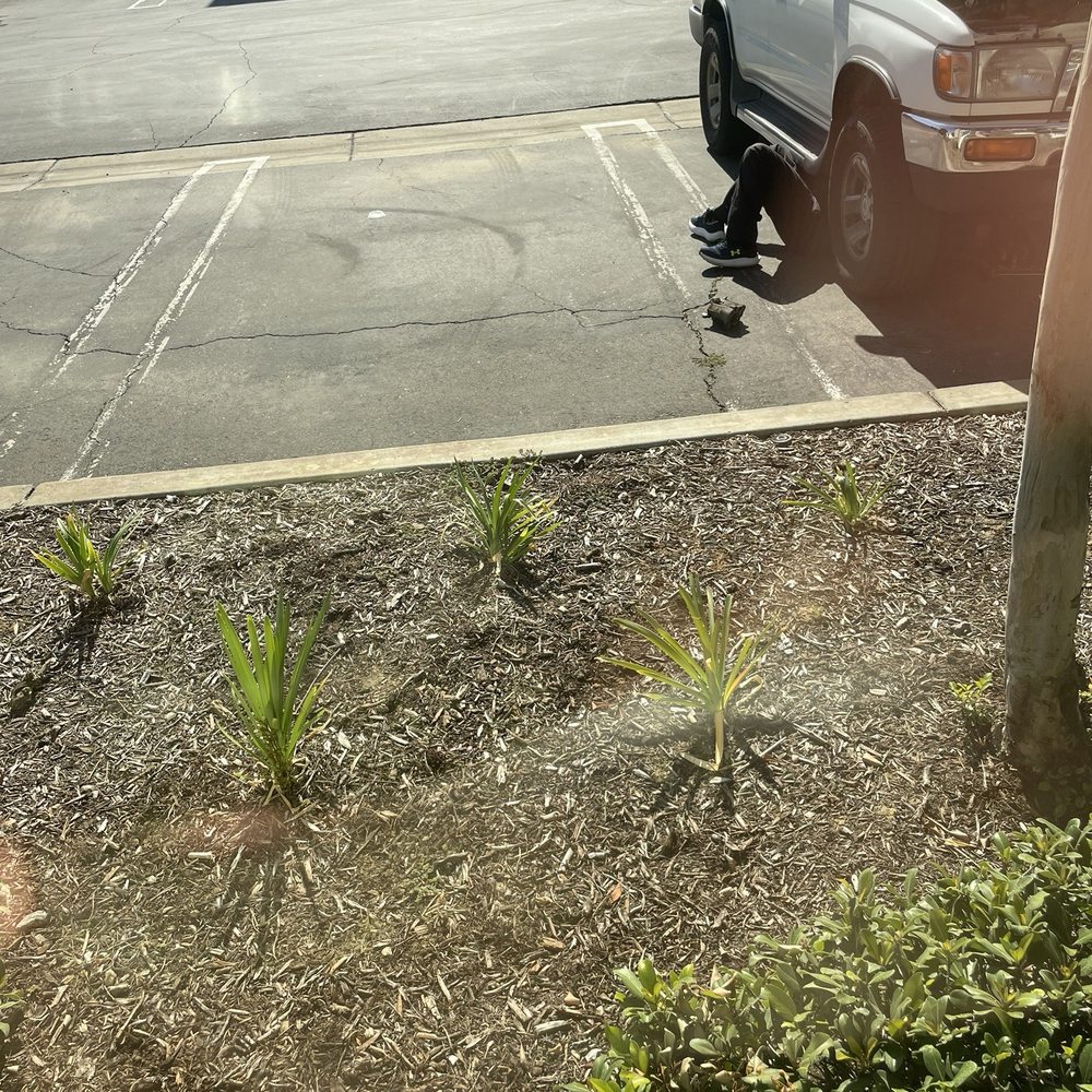 Replaced started in less than an hour Replaced started in less than an hour