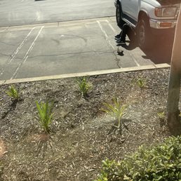Replaced started in less than an hour