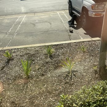 IE Mobile Mechanic Pros - Replaced started in less than an hour - Auto Repair Near Me
