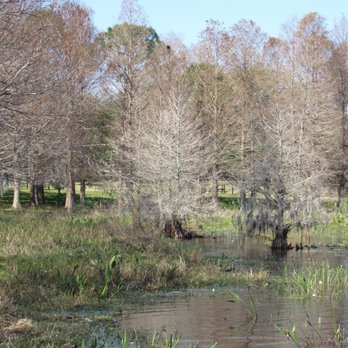Bill Frederick Park at Turkey Lake - By the lake - Parks Near Me - Orlando, Florida