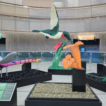 Origen Museum - Special exhibit. June 2025 - Museums Near Me - Las Vegas, Nevada Origen Museum - Special exhibit. June 2025 - Museums Near Me - Las Vegas, Nevada