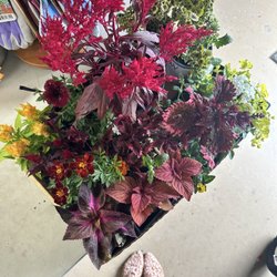 C & R Garden Center