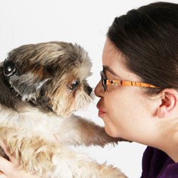 carms dog house mobile grooming