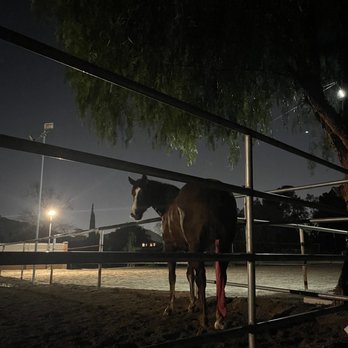 La Tuna Stables - Horse Boarding Near Me - Sun Valley, California