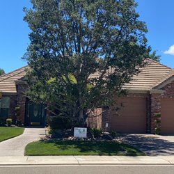 Navarro Tree Service