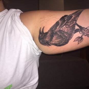Evolved Body Art - Bird done by Brett - Piercing Near Me - Columbus, Ohio Evolved Body Art - Bird done by Brett - Piercing Near Me - Columbus, Ohio