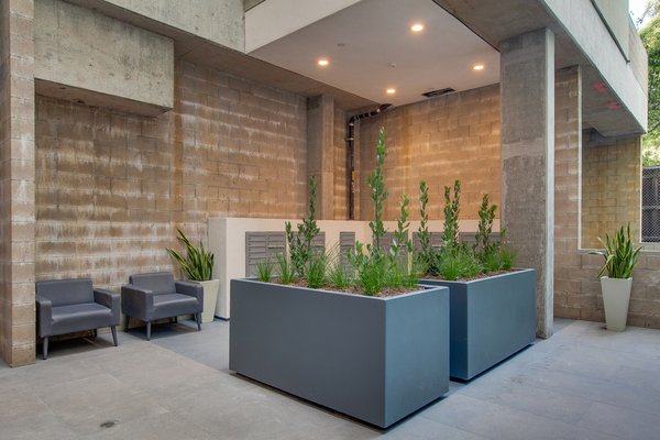 The Sunset Hue by null