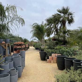 FLORA GRUBB GARDENS - Updated February 2026 - 58 Photos & 38 Reviews